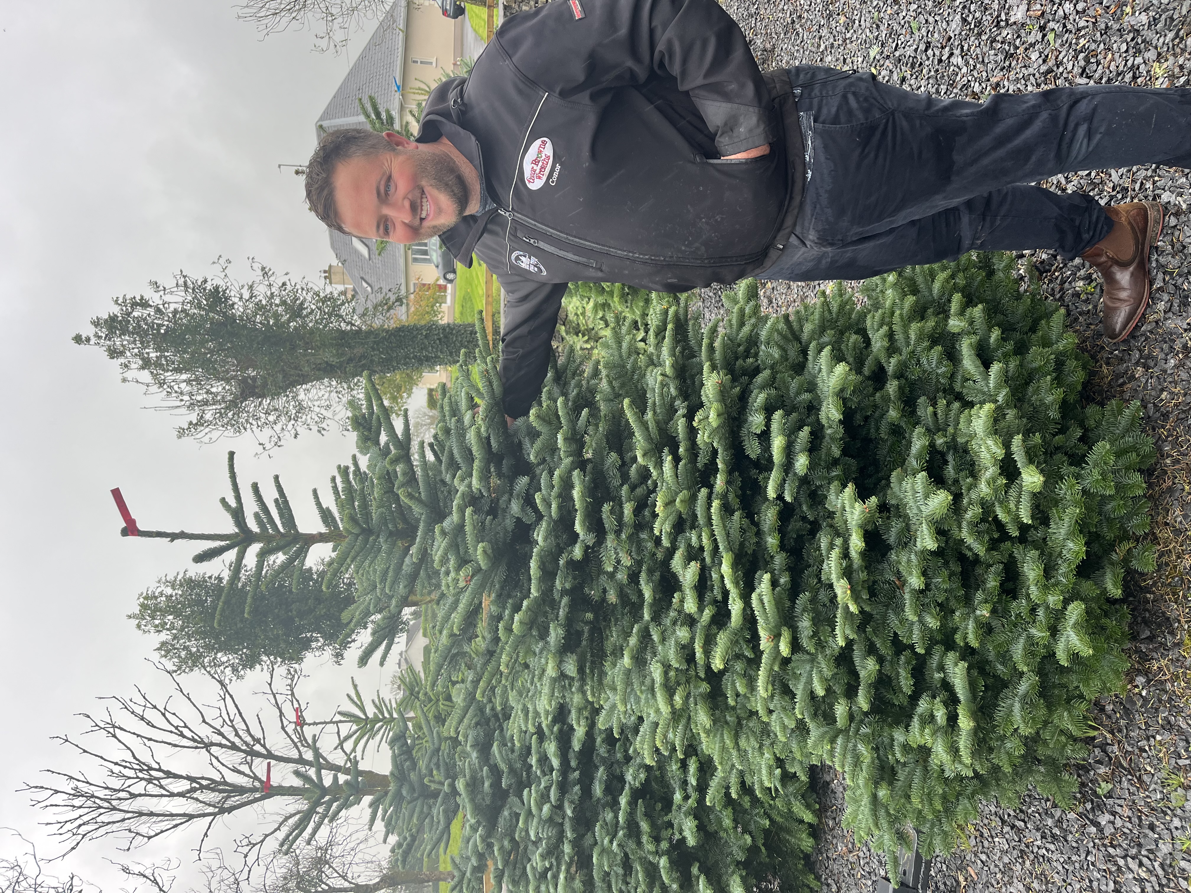 Best Noble Fir, 2023, Conor Browne.